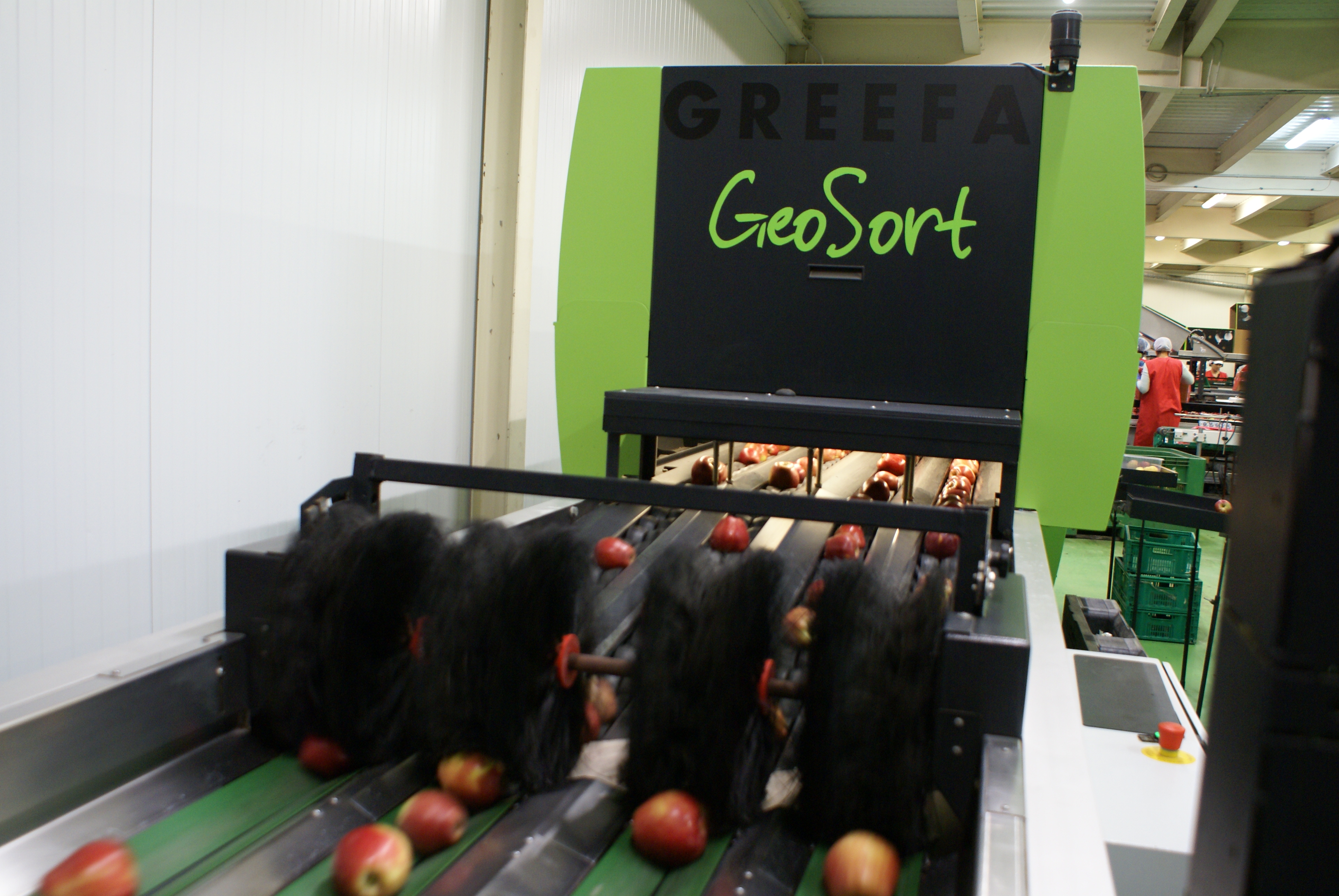 Greefa GeoSort en Apetit Fruits.